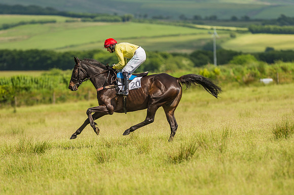 Exmoor Foxhounds