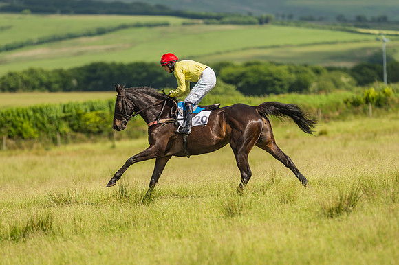 Exmoor Foxhounds