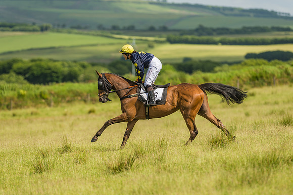 Exmoor Foxhounds
