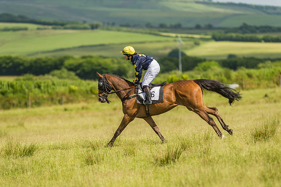 Exmoor Foxhounds