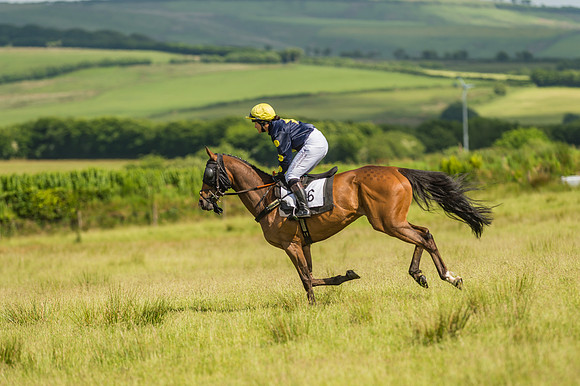 Exmoor Foxhounds