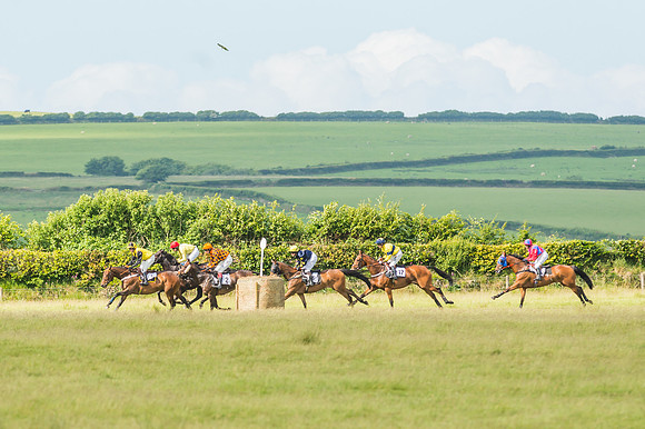 Exmoor Foxhounds