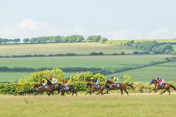 Exmoor Foxhounds