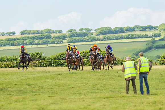 Exmoor Foxhounds