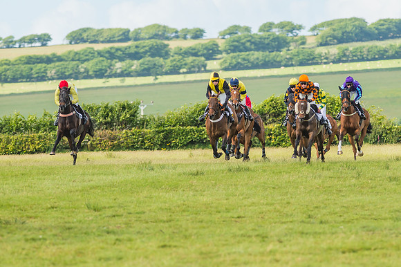 Exmoor Foxhounds