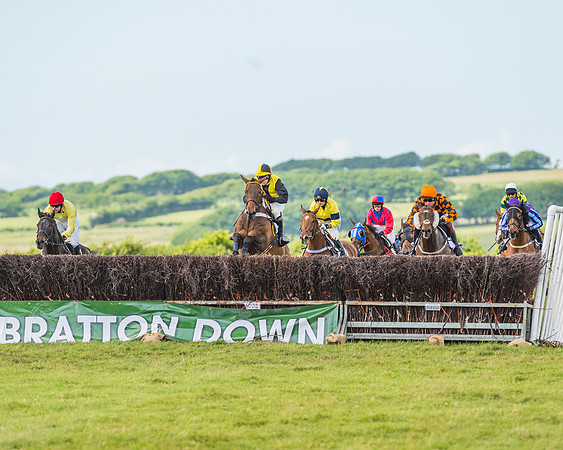 Exmoor Foxhounds