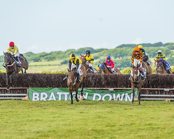 Exmoor Foxhounds
