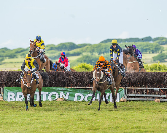 Exmoor Foxhounds