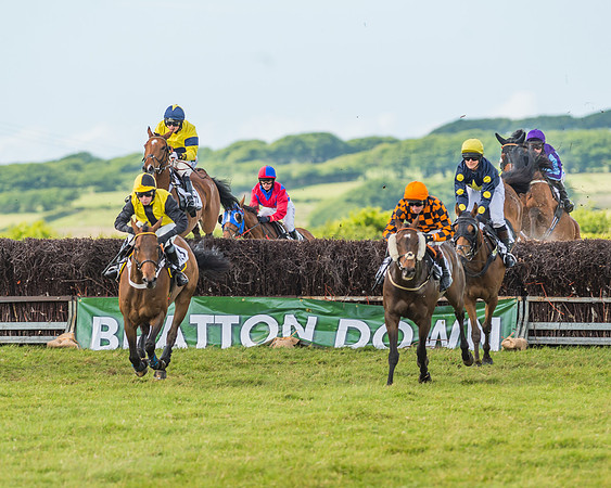 Exmoor Foxhounds