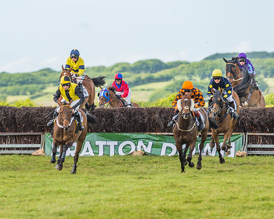 Exmoor Foxhounds