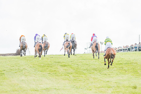 Exmoor Foxhounds
