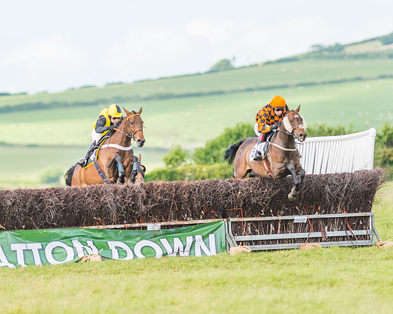 Exmoor Foxhounds