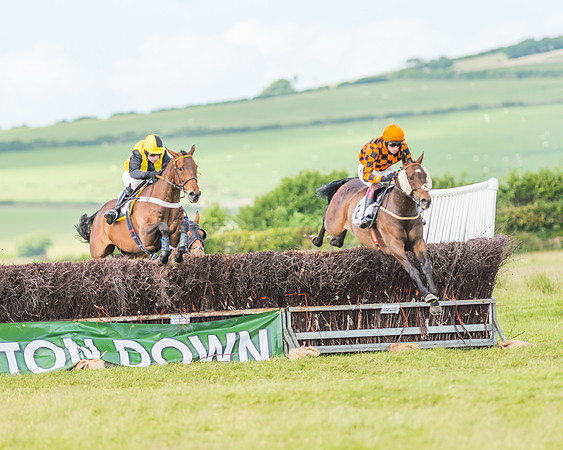 Exmoor Foxhounds