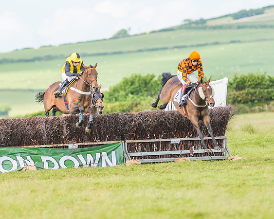 Exmoor Foxhounds