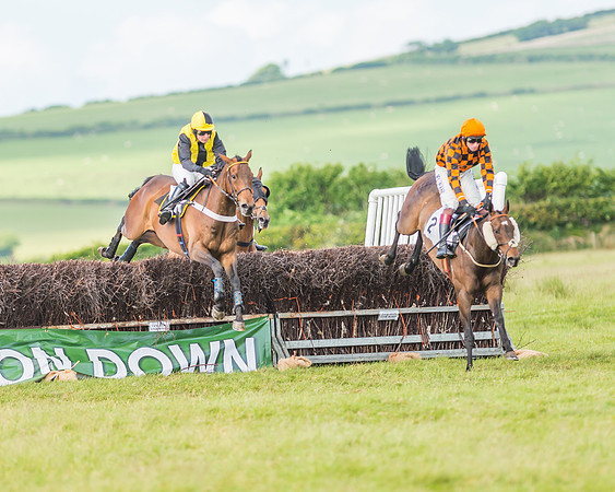 Exmoor Foxhounds