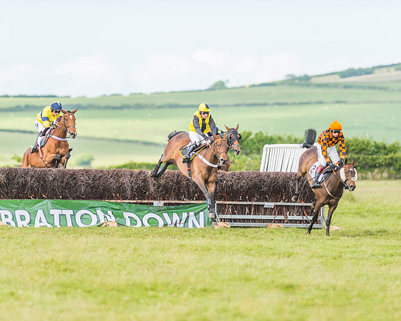 Exmoor Foxhounds