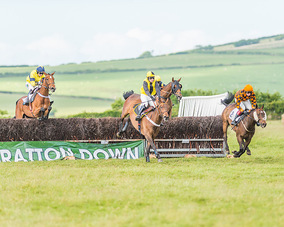 Exmoor Foxhounds