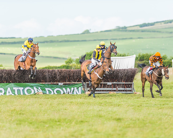 Exmoor Foxhounds
