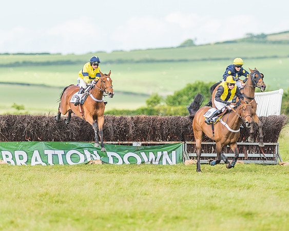 Exmoor Foxhounds