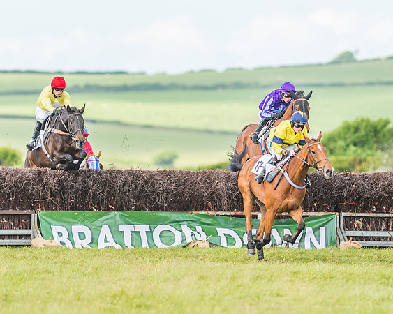 Exmoor Foxhounds