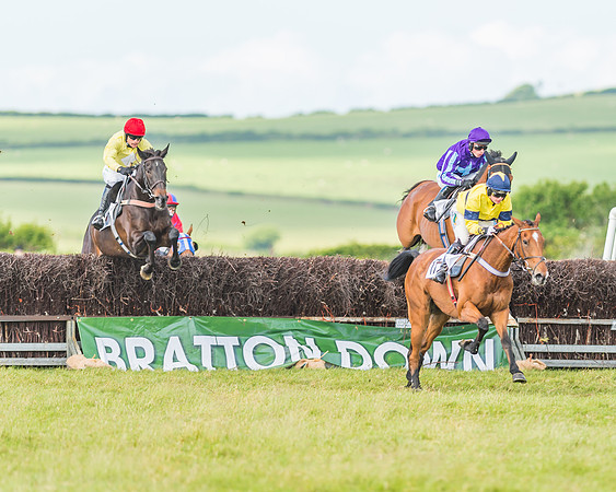 Exmoor Foxhounds
