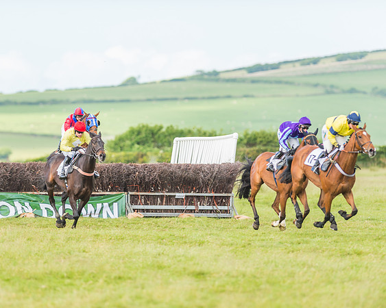 Exmoor Foxhounds