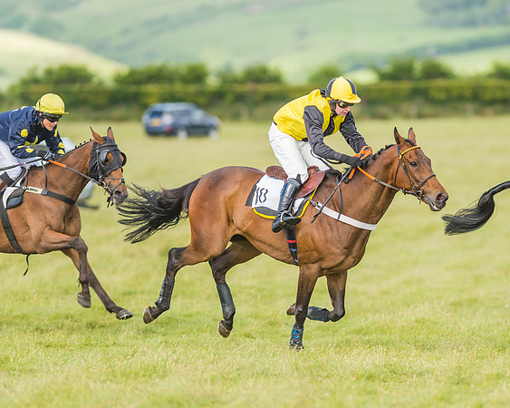 Exmoor Foxhounds