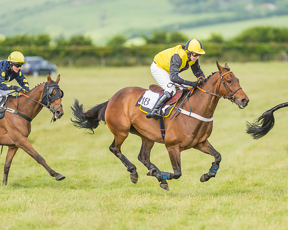 Exmoor Foxhounds