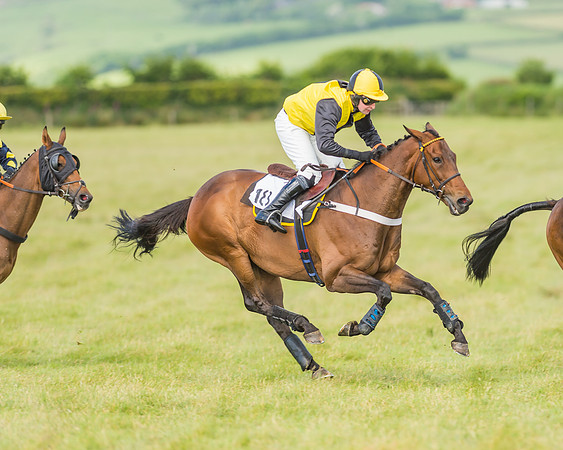 Exmoor Foxhounds