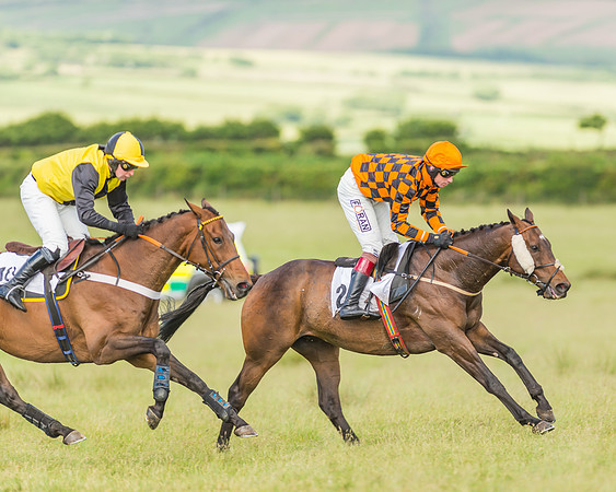 Exmoor Foxhounds