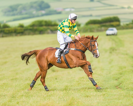 Exmoor Foxhounds