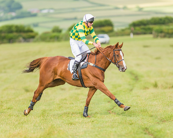 Exmoor Foxhounds