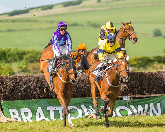 Exmoor Foxhounds