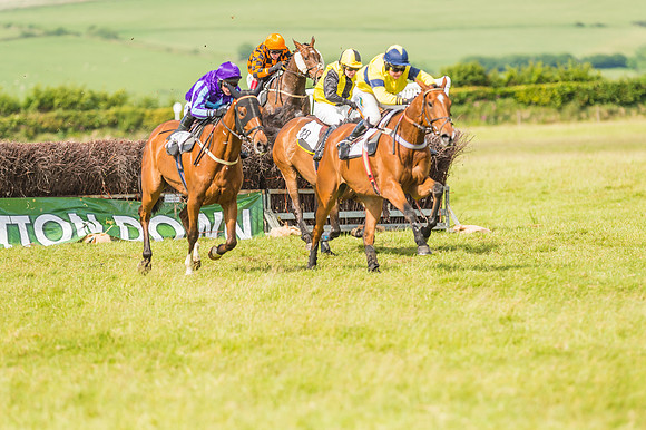 Exmoor Foxhounds