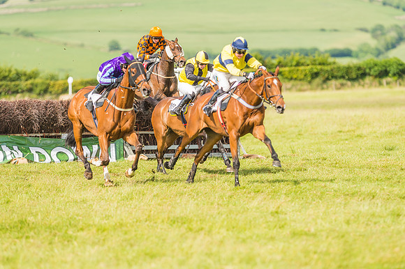 Exmoor Foxhounds