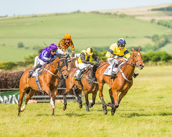 Exmoor Foxhounds