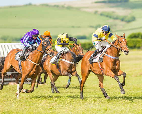 Exmoor Foxhounds