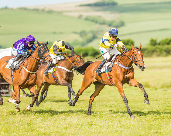 Exmoor Foxhounds