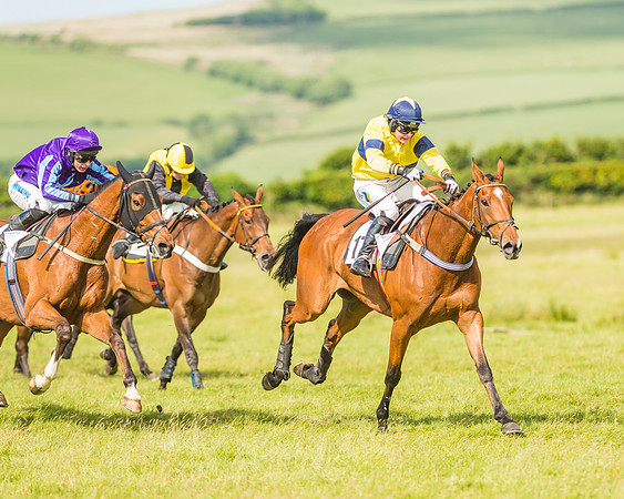 Exmoor Foxhounds