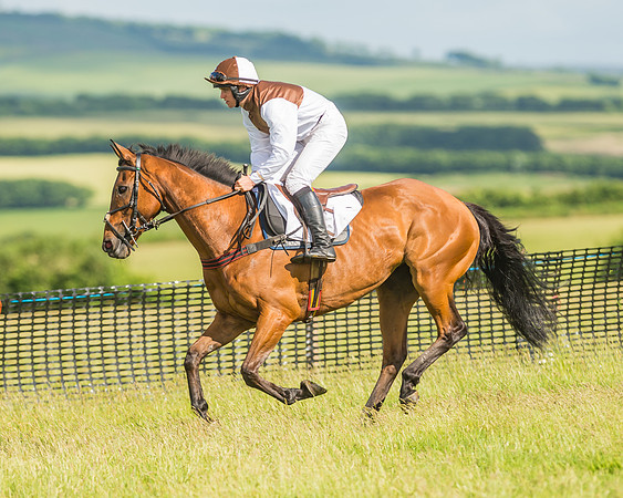 Open Maiden Race