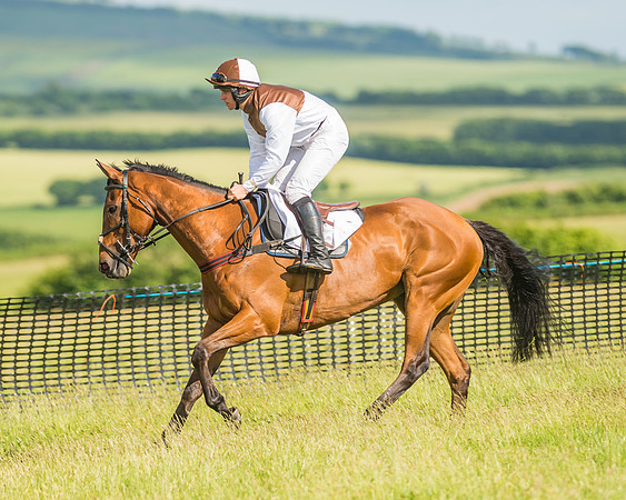 Open Maiden Race