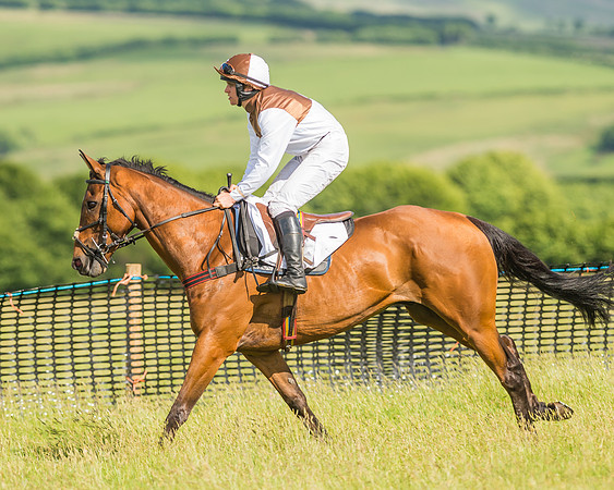 Open Maiden Race