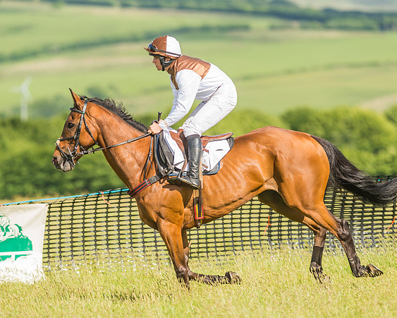 Open Maiden Race