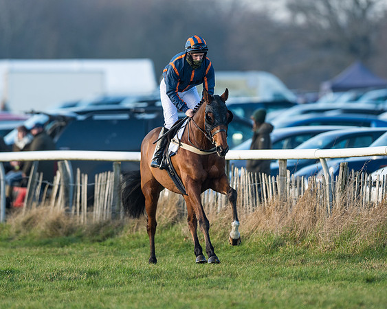 Race 2 - PPORA Novice Riders  (4 of 205)