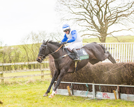 Race 6 - 6 year old and over Maiden 2m4f (22 of 62)