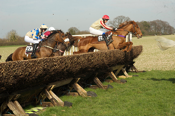 Race 2 Open Maiden Div 1 -  51