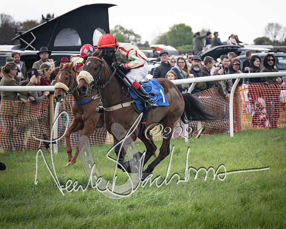 Pony Race 2 (56 of 84)-
