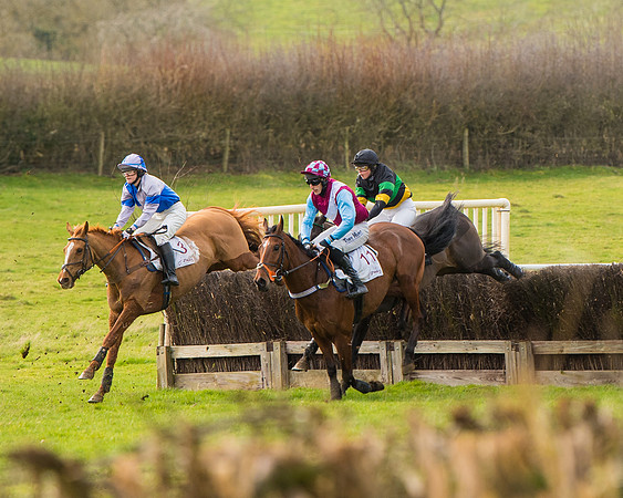 Race 3 - Restricted  (46 of 100)