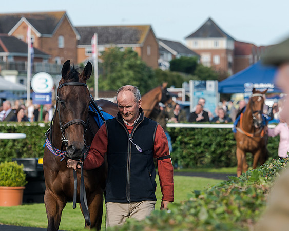 Race 3 - pointtopoint.co.uk champion novices (5 of 192)