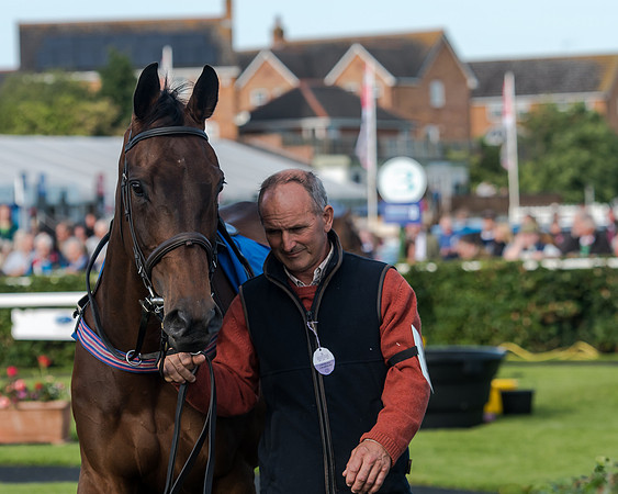 Race 3 - pointtopoint.co.uk champion novices (6 of 192)